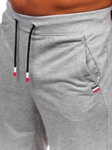 Herr Shorts Grå Bolf 8K1502